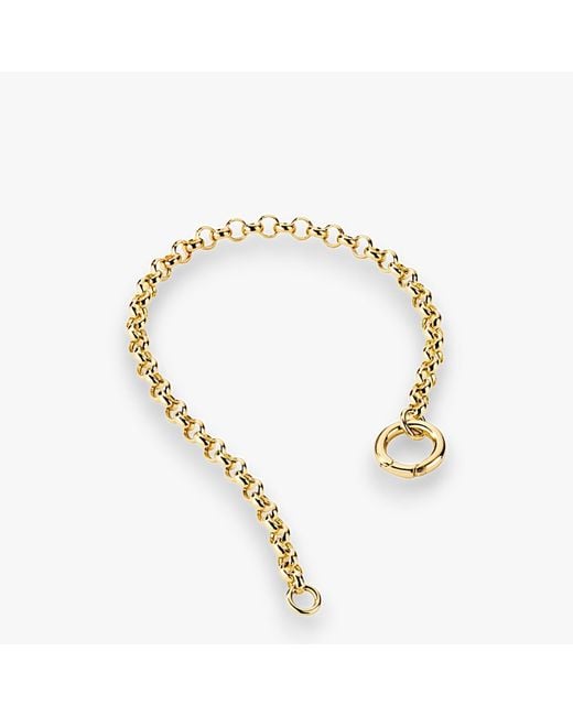 Alexie of Athens Metallic Rolo Charm Chain Bracelet
