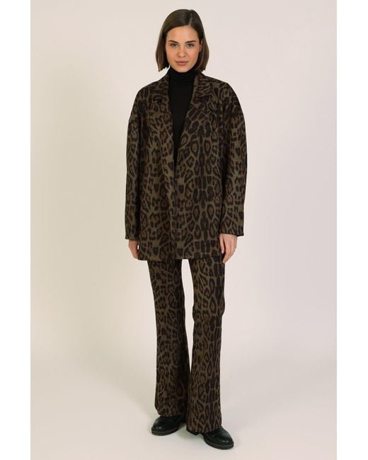 Traffic People Brown Bet Lynch Lives Leopard Print Staunch Flared Trousers