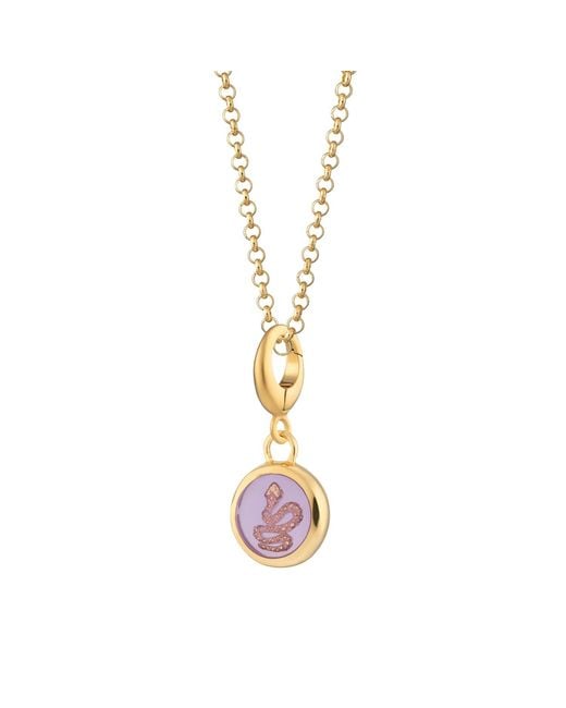Lily Charmed Metallic Plated Snake Resin Capture Charm Necklace