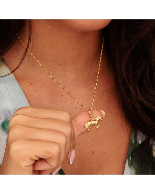 Lily Charmed Metallic Plated Horse Charm Necklace