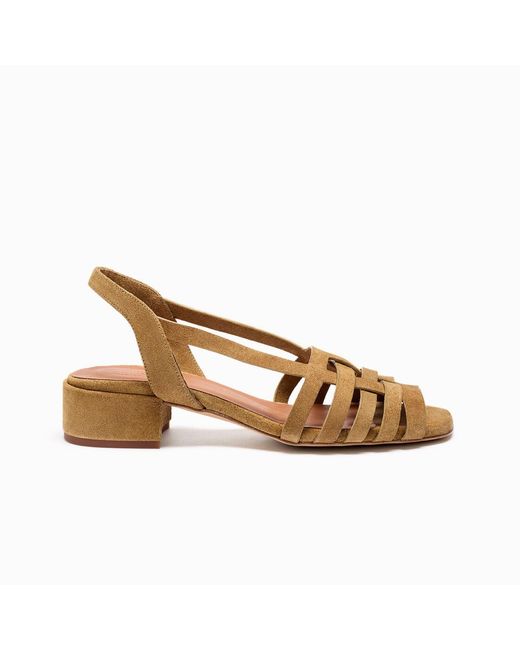 Naguisa Brown Ima Camel