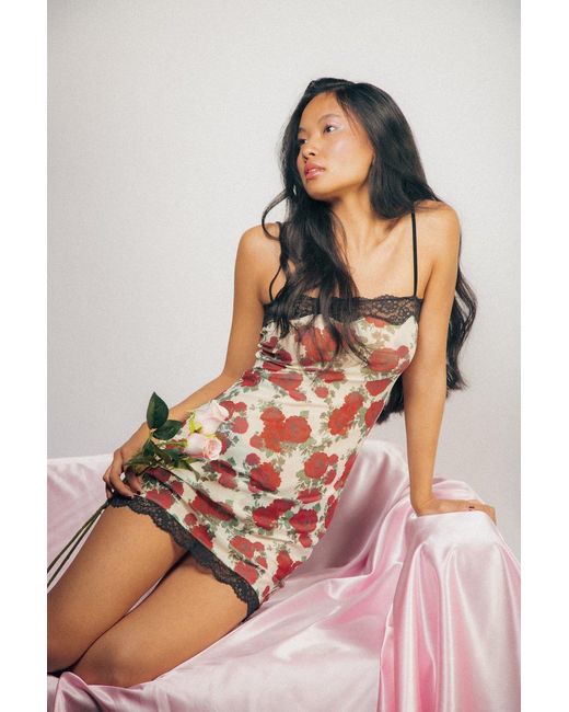 Wild Lovers Red Liora Dress