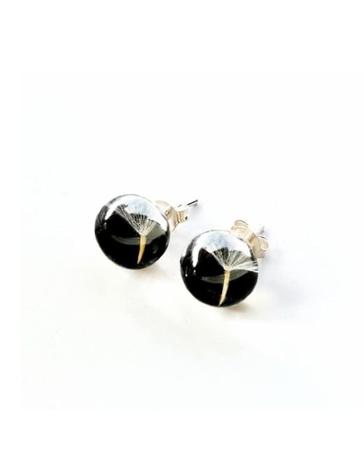 Laura Daili Black A Wish