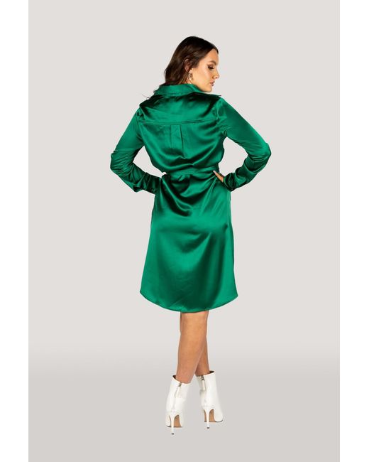 Why Mary Green Jackie Satin Trench Coat Dress