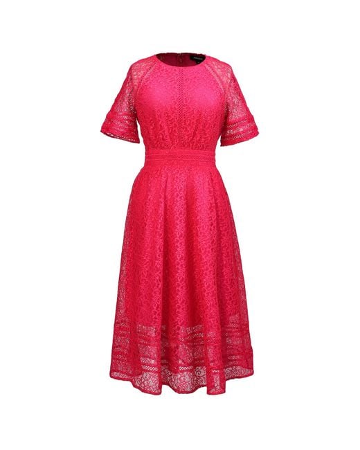 Smart and Joy All-lace Flared Dress And Trims