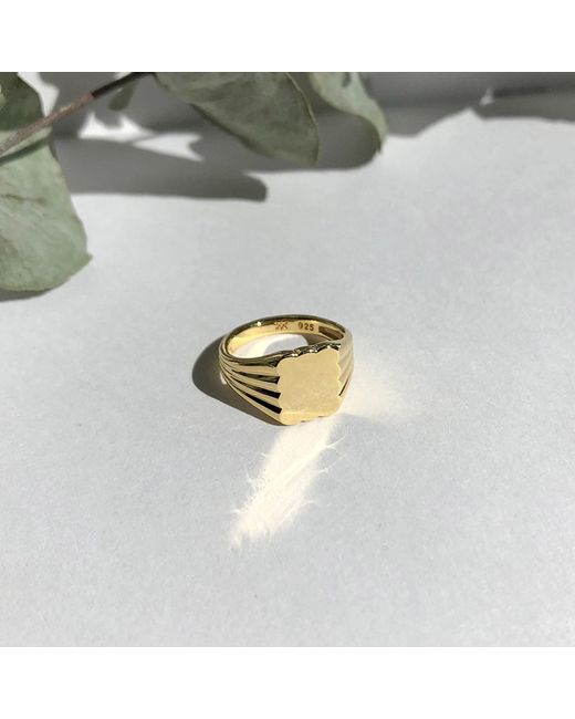 Cote Cache Natural Cloud Pinky Signet Ring