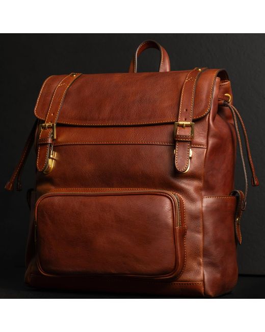Time Resistance Brown Leather Backpack for men