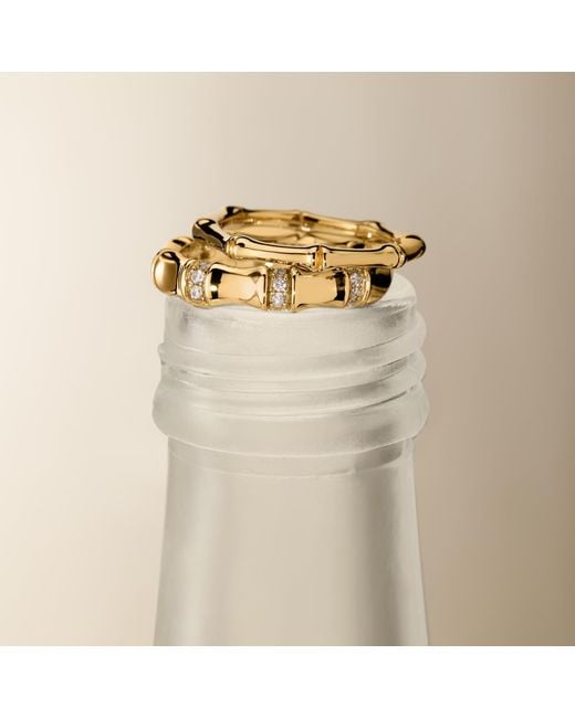Vanhi Metallic Bamboo Ring