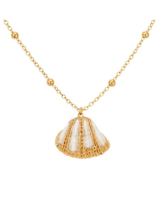 My Little Nature Metallic Natural Seashell Necklace With Plated Chain