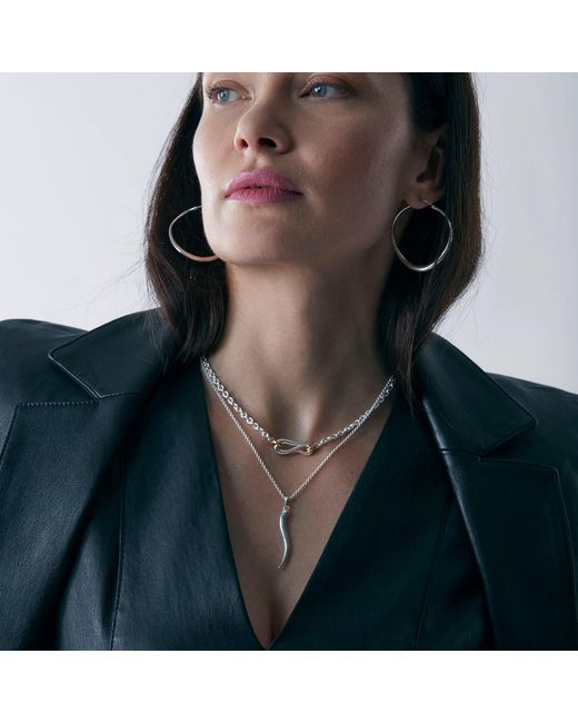 Dinny Hall Metallic Toro Horn Pendant