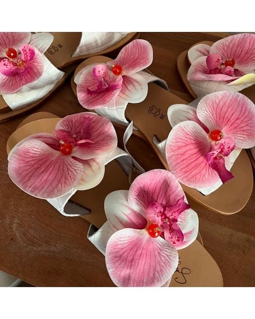 Sibylla Delphica Pink Calanthe Flat Leather Sandals