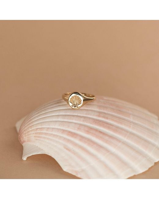 Zoe & Morgan Metallic Secret Society Of Shell Lovers Signet