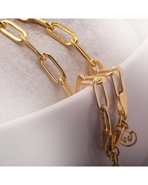 The Jewellery Store London Metallic Paper Clip Chain Necklace
