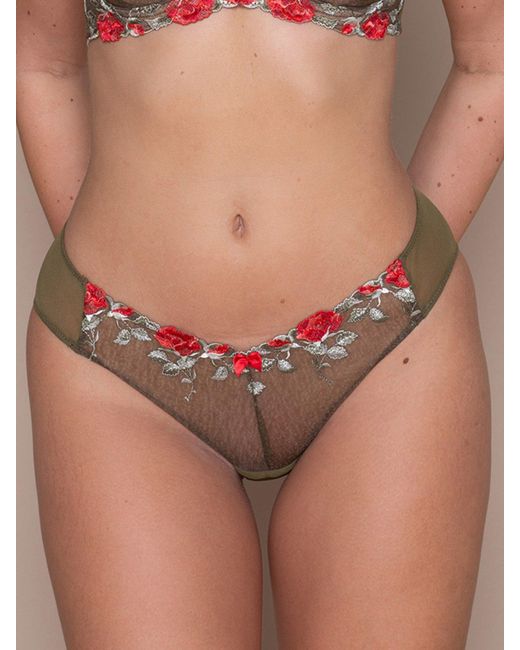 BonBon Lingerie Brown Roses Full Brief