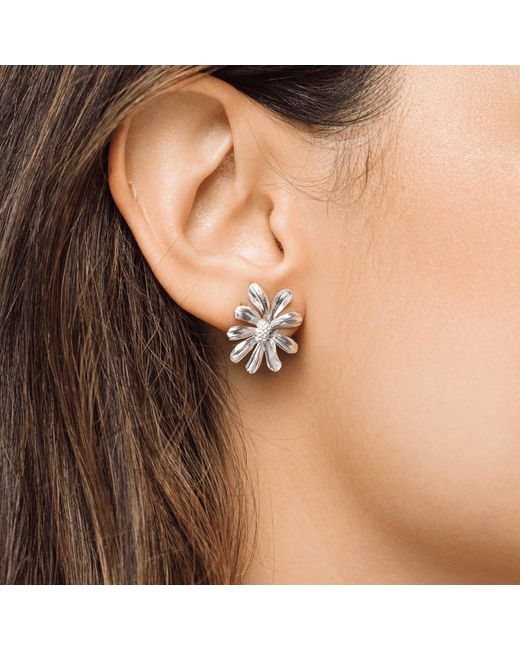 Lulu B London White Daisy Flower & Pearl Stud Drop Earrings