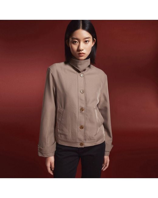 Smart and Joy Gray Buttoned Collar Short Jacket