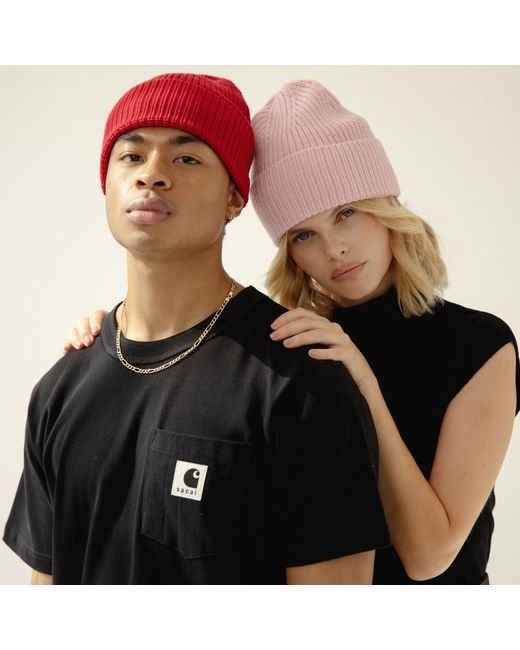 Arctic Fox & Co. Red The Merino Wool Beanie