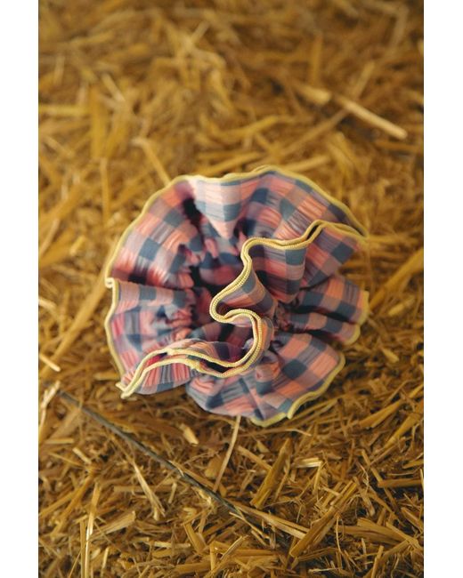 Wild Lovers Blue Candy Scrunchie