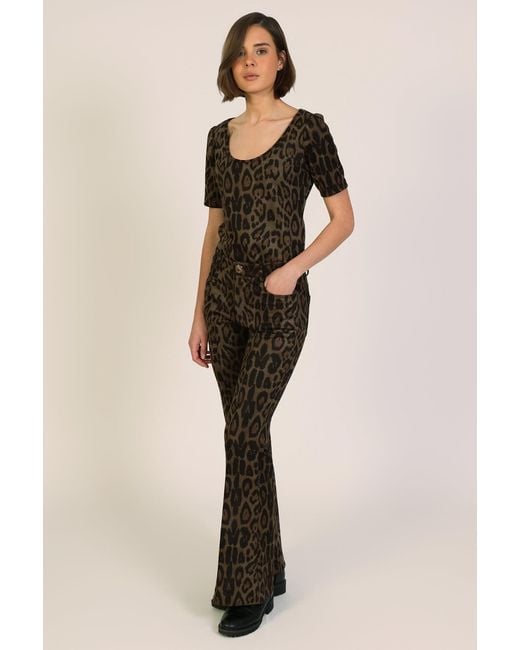 Traffic People Brown Bet Lynch Lives Leopard Print Staunch Flared Trousers