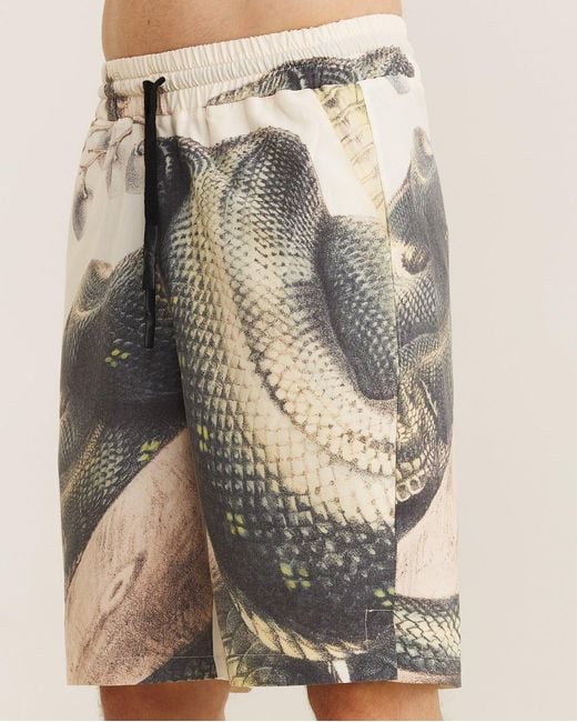 mysimplicated Natural Bermuda Shorts for men