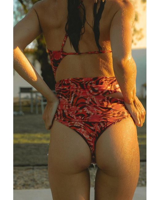 Wild Lovers Orange Heatwave Swimsuit