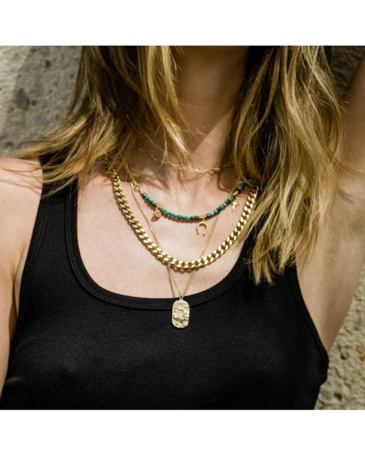 Rachel Nathan Metallic Western Charms Necklace
