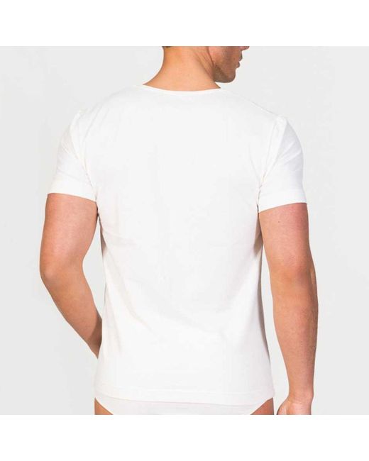 Zd - Zero Defects Gray Neutrals Ceres V-Neck T-Shirt – Ultra-Soft & Breathable Soy Fiber for men