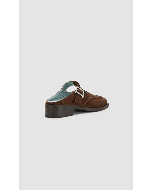 PREVU Brown Lou