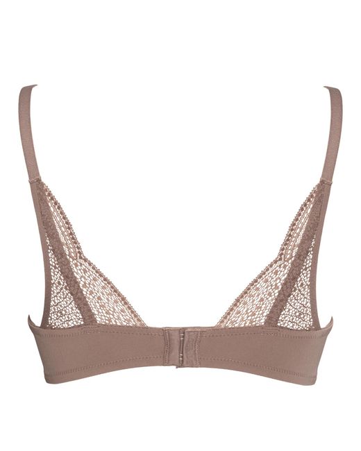 BonBon Lingerie Brown Charlotte Non-Wired Push-Up Bra
