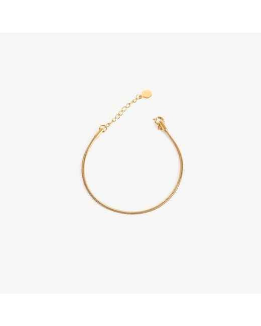 Lei & Mar Co. Metallic The Celine Snake Chain Bracelet