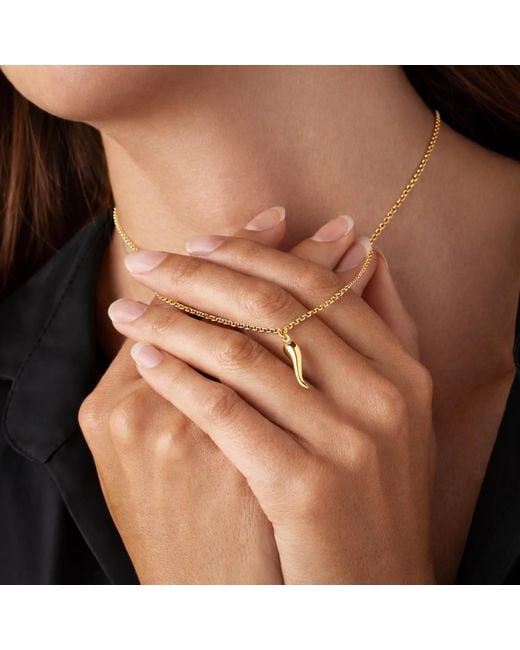 Unaloe Metallic Plated Enamel Cornicello Necklace – Italian Handmade Good Luck Charm