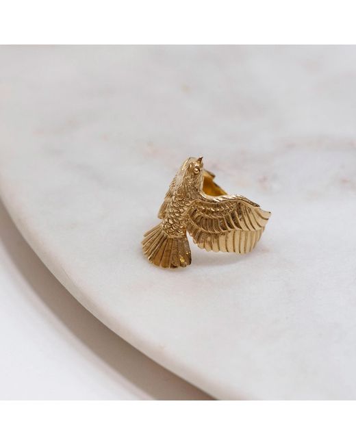 Zoe & Morgan Metallic Falcon Ring