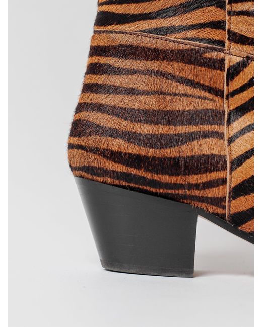 Blankens Brown The Joan High Rust Zebra