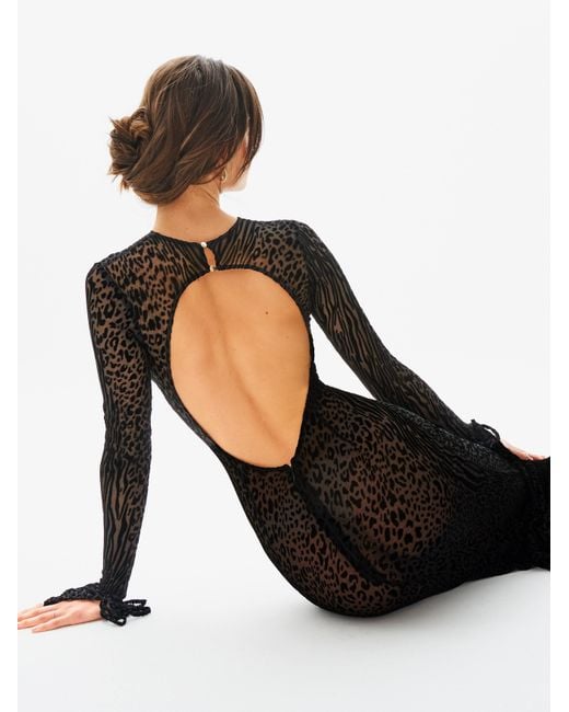 Miss Circle New York Black Waylynn Animal Print Burnout Velvet Detail Mesh Backless Maxi Dress