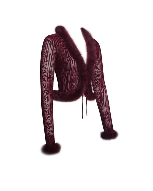 Miss Circle New York Red Hali Burgundy Animal Print Burnout Velvet Fur Trim Top