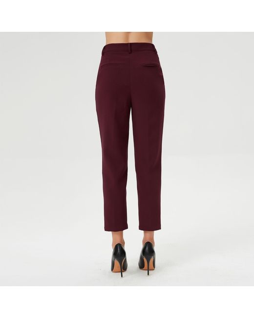 Smart and Joy Tapered Capri Pants -Burgundy