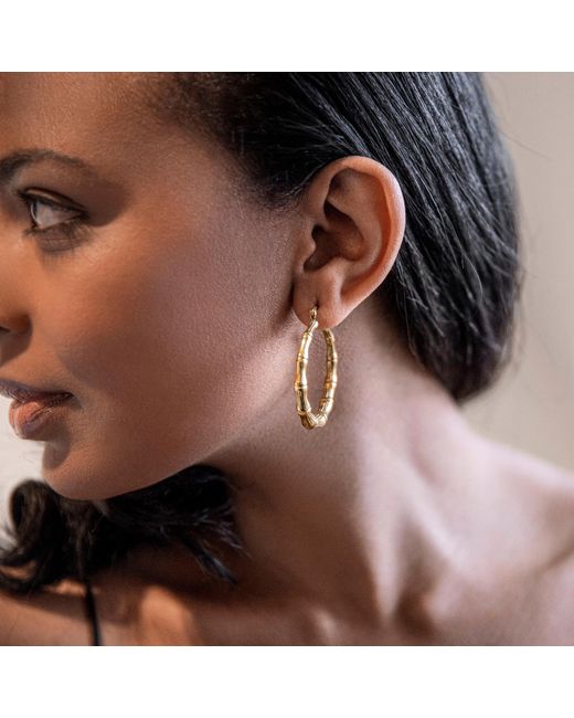 Hoops + Chains LDN Metallic Solange Hoops