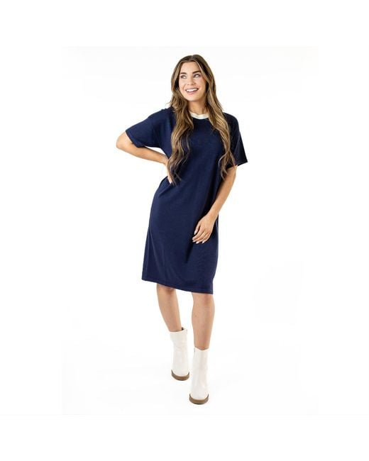 Zenzee Blue Silk Cashmere Tee Shirt Dress