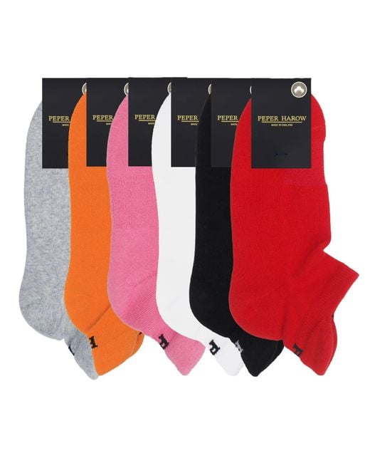 Peper Harow - Made in England Red Sport Trainer Sock Bundle – Organic