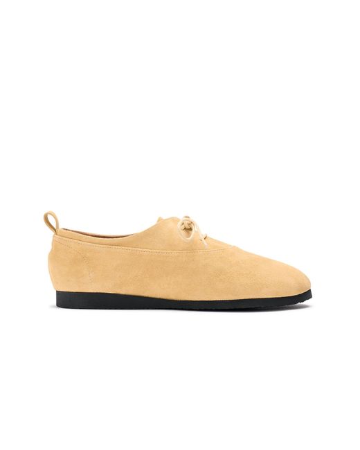 Naguisa White Neutrals Oxford