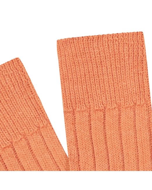 Paul James Knitwear Orange Alpaca Kenilworth Lounge Socks