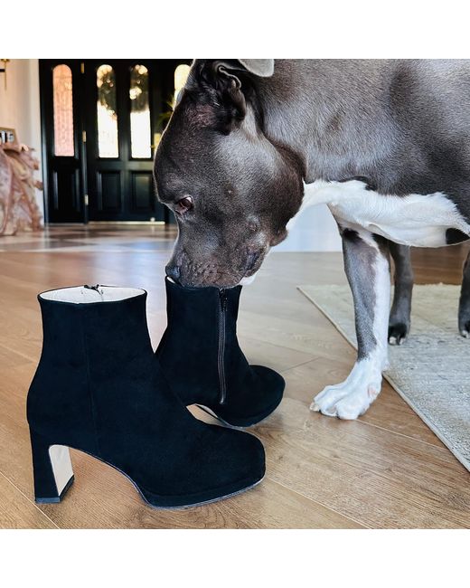 Beautiisoles by Robyn Shreiber Made in Italy Black Scottie Ankle Bootie Comfortable Medium Heel Elegant For Work & Evening