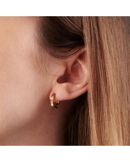 Posh Totty Designs Metallic Sterling Silver Faceted Hexagon huggie Earrings