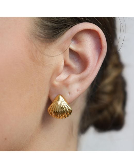 Miss Cecilia Metallic Shell Ear Studs