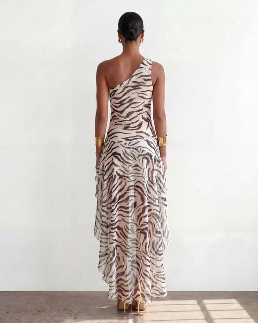 Alia Studio Metallic Sirène Maxi Mesh Dress