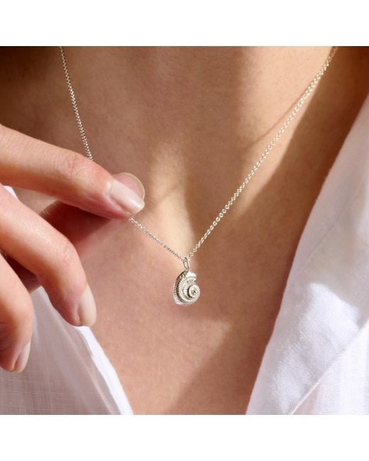 Posh Totty Designs Metallic Sterling Mini Nautilus Shell Necklace