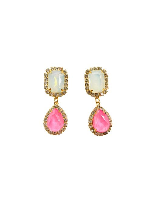 The Pink Reef Multicolor Jewel Drop Neons