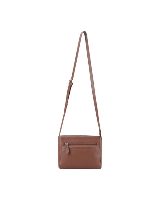 Lloyd Baker Brown Primrose