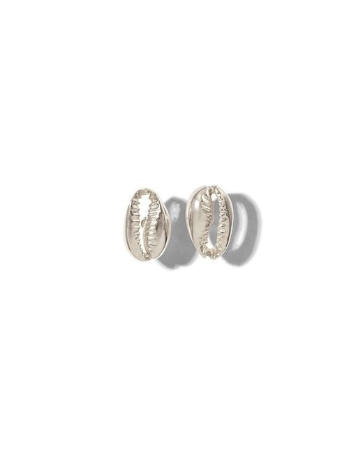 Jaredjamin White Cowrie Stud Post Earrings