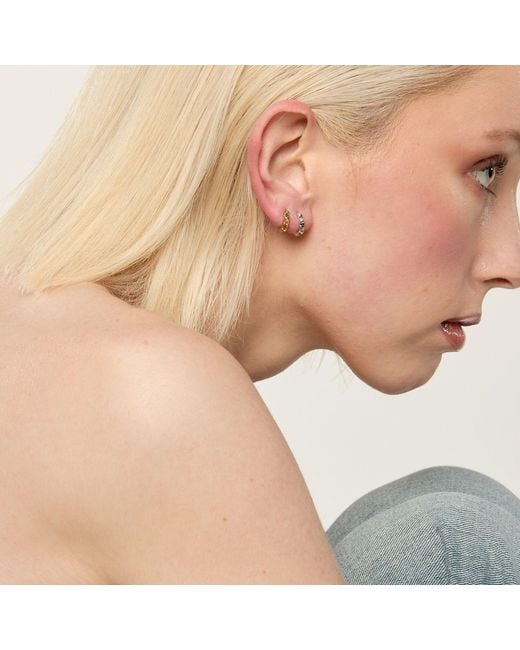Dolcetto Designs Metallic Cestius Hoop Earring